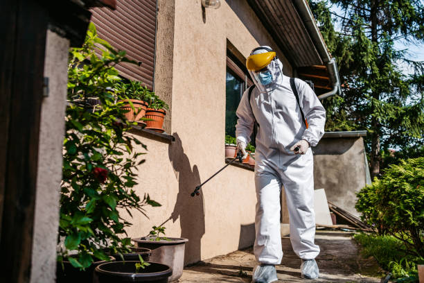 Best Best Pest Control Companies  in Kings Bay Base, GA