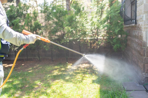Wildlife Control Services in Kings Bay Base, GA