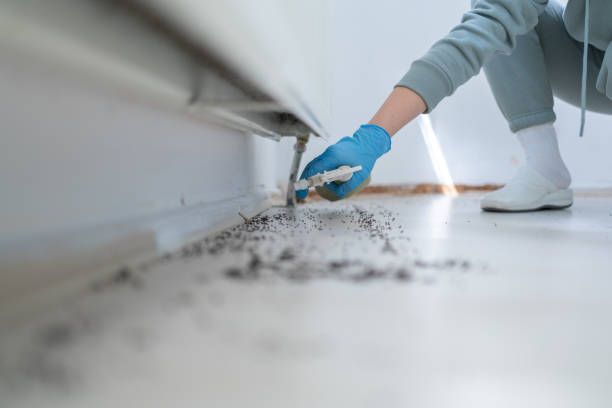 Best Exterminator Services  in Kings Bay Base, GA