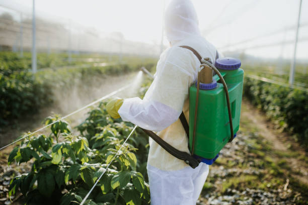 Professional Pest Control in Kings Bay Base, GA